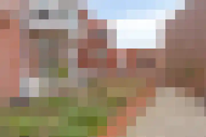 Annie van Velzenhof 23 Lent thumbnail 29