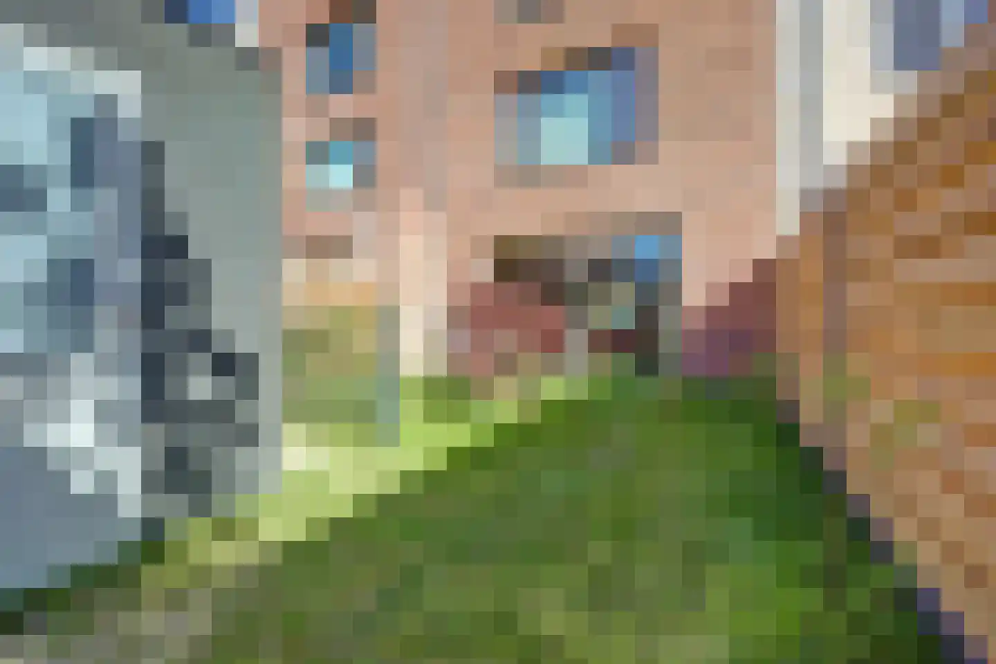 Annie van Velzenhof 9 Lent thumbnail 45