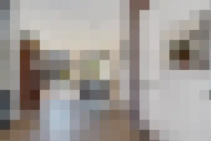 Annie Zernikeweg 14 Heerenveen thumbnail 18