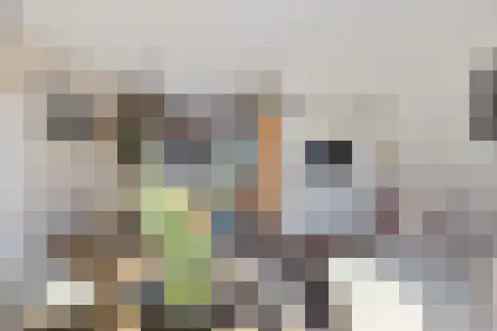 Annie Zernikeweg 14 Heerenveen thumbnail 20