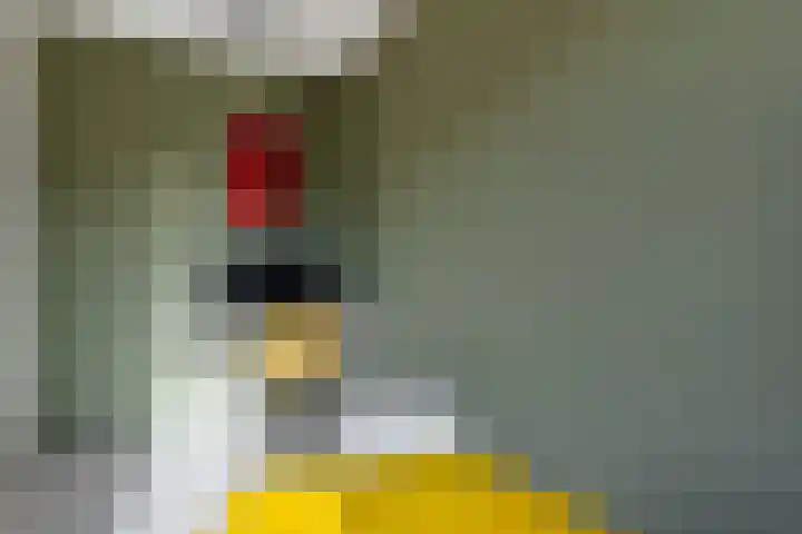 Annie Zernikeweg 14 Heerenveen thumbnail 30