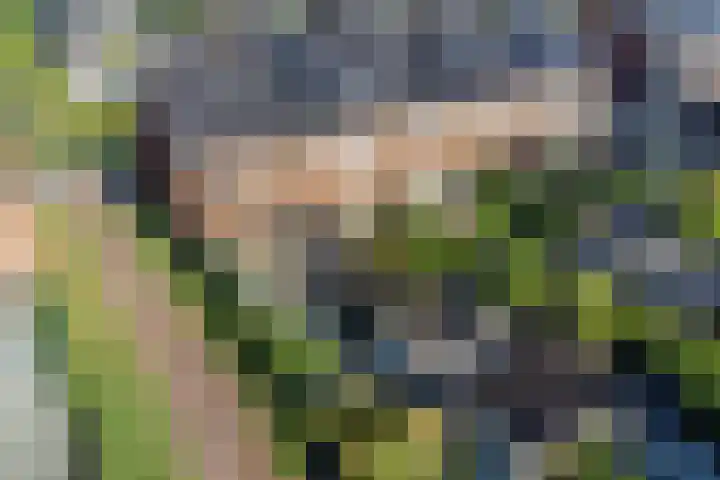 Annie Zernikeweg 14 Heerenveen thumbnail 44