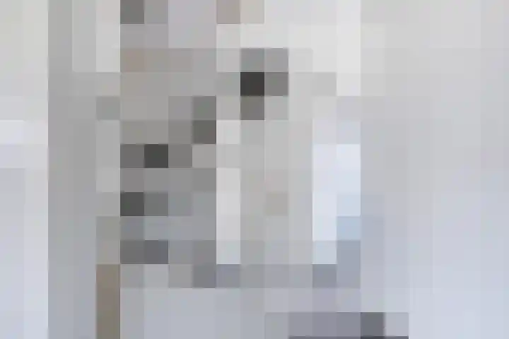 Annie Zernikeweg 21 Heerenveen thumbnail 17