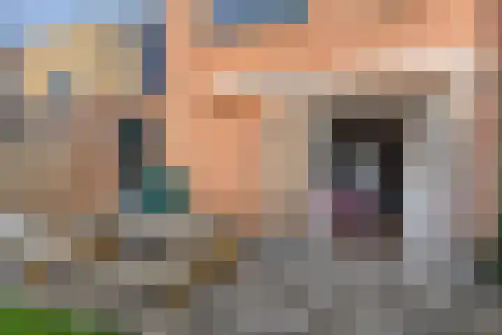 Annie Zernikeweg 34 Heerenveen thumbnail 33