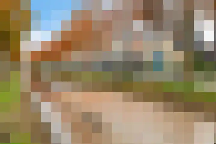 Annie Zernikeweg 34 Heerenveen thumbnail 36