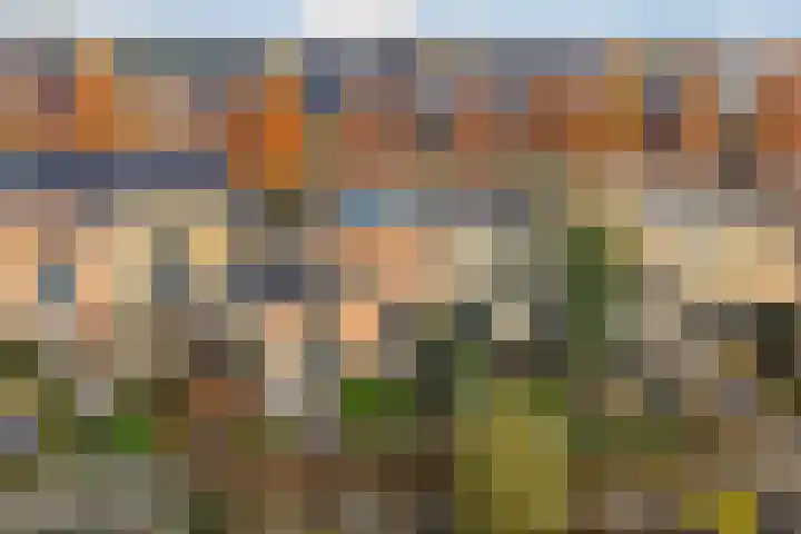 Annie Zernikeweg 34 Heerenveen thumbnail 38