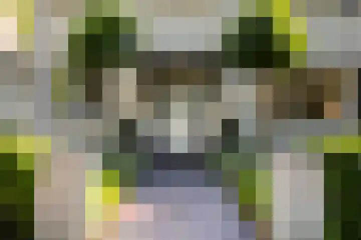 Anninksweg 100 Hengelo thumbnail 11