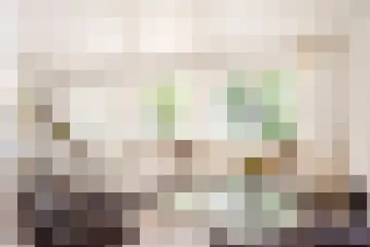 Anninksweg 100 Hengelo thumbnail 15