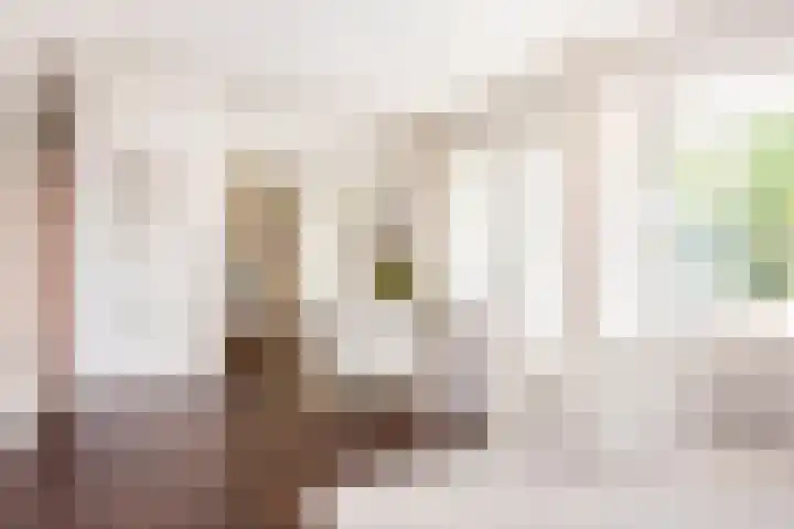 Anninksweg 100 Hengelo thumbnail 16
