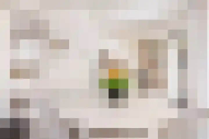 Anninksweg 100 Hengelo thumbnail 17