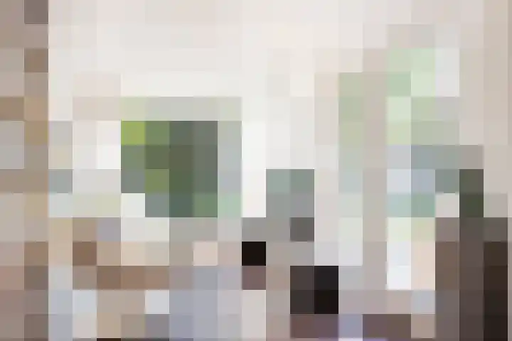 Anninksweg 100 Hengelo thumbnail 20