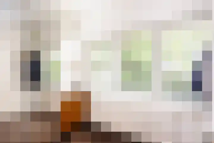 Anninksweg 100 Hengelo thumbnail 26