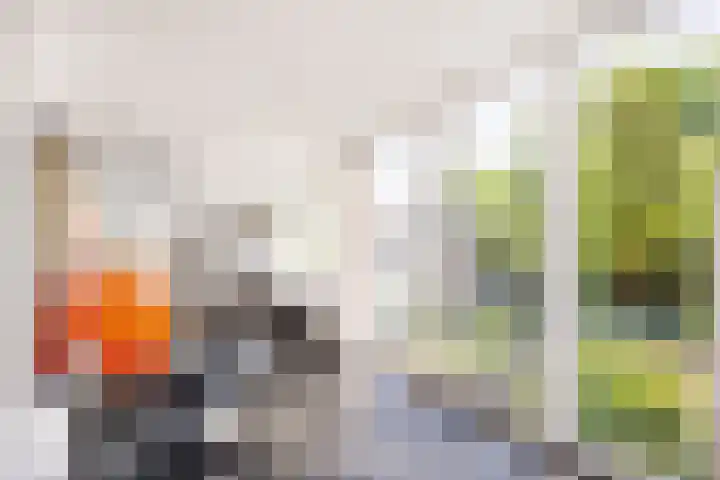 Anninksweg 100 Hengelo thumbnail 28