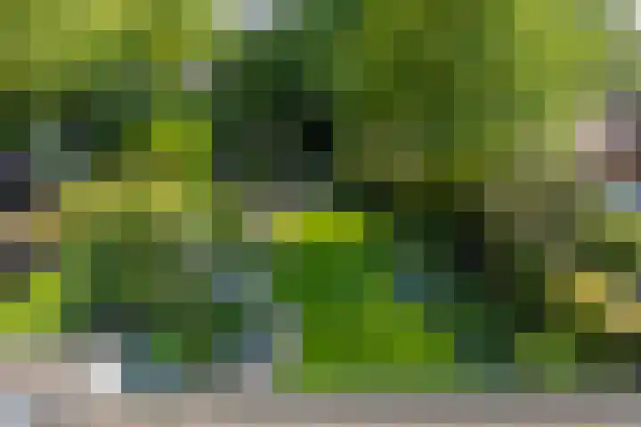 Anninksweg 100 Hengelo thumbnail 31