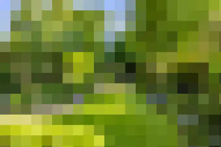 Anninksweg 100 Hengelo thumbnail 34