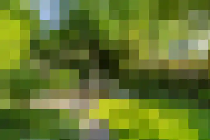 Anninksweg 100 Hengelo thumbnail 35