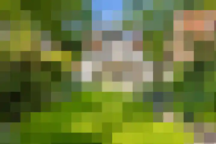 Anninksweg 100 Hengelo thumbnail 36