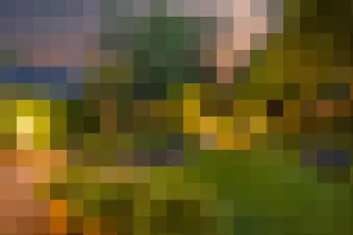 Anninksweg 100 Hengelo thumbnail 40