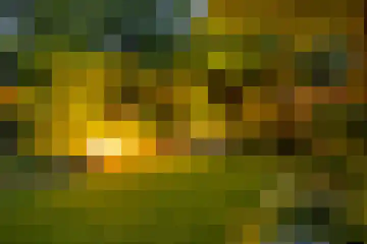 Anninksweg 100 Hengelo thumbnail 41