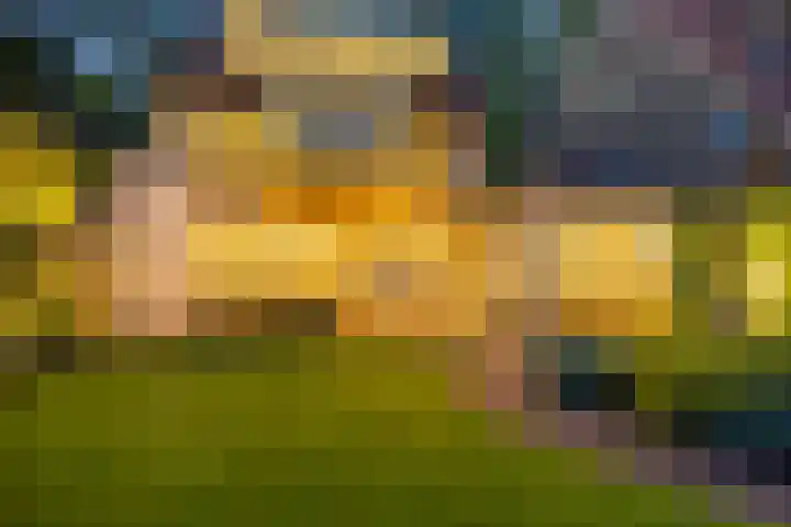 Anninksweg 100 Hengelo thumbnail 43