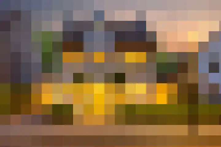 Anninksweg 100 Hengelo thumbnail 5