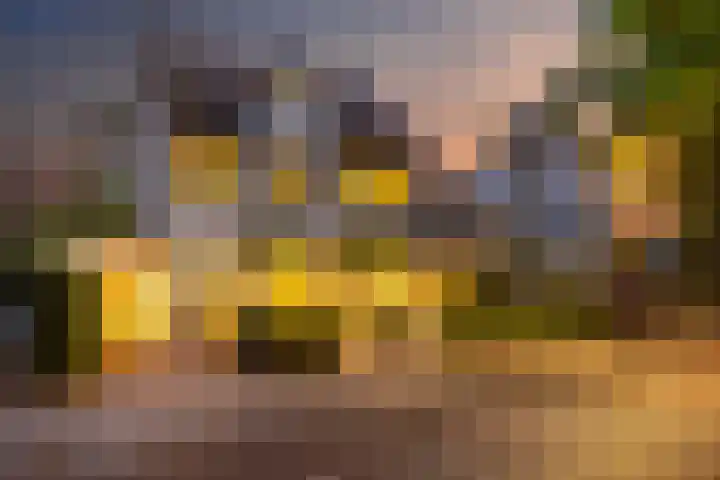 Anninksweg 100 Hengelo thumbnail 6