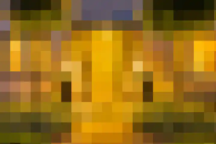 Anninksweg 100 Hengelo thumbnail 7