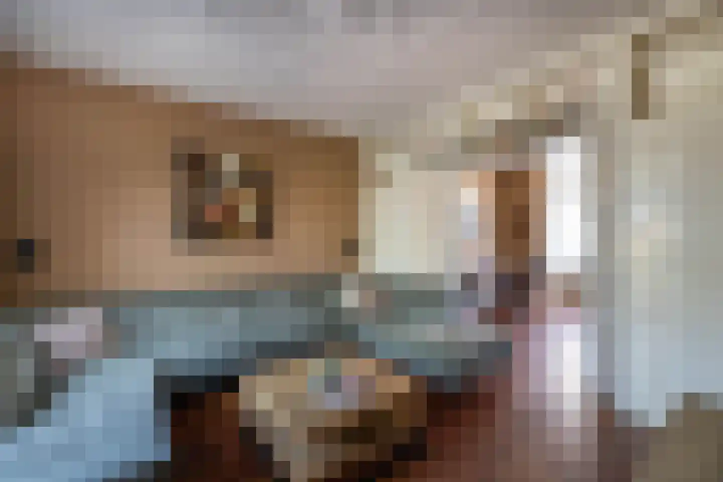Anninksweg 18 Hengelo thumbnail 14