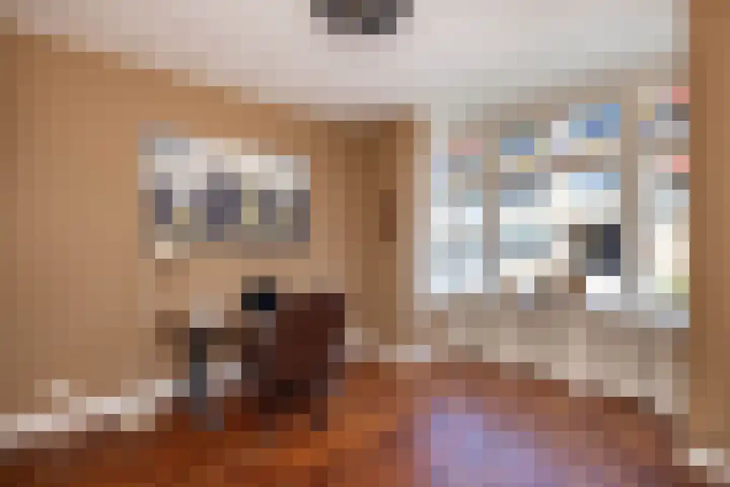 Anninksweg 18 Hengelo thumbnail 15