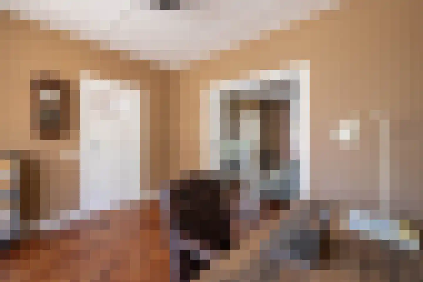 Anninksweg 18 Hengelo thumbnail 16