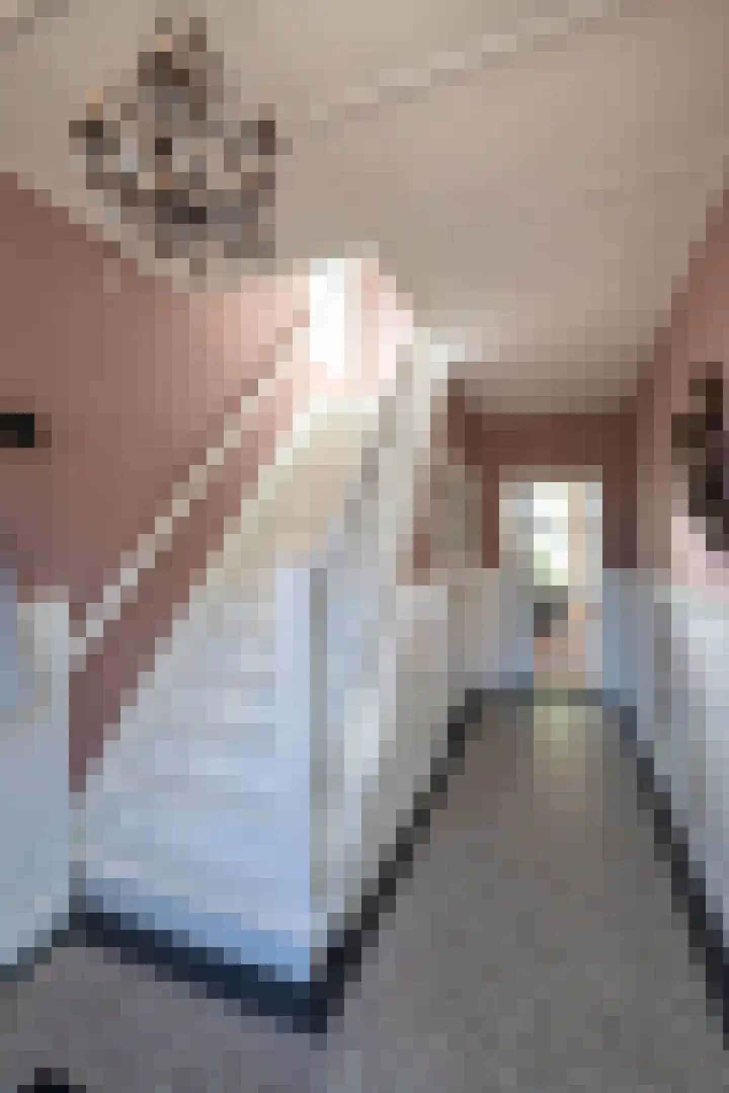 Anninksweg 18 Hengelo thumbnail 18