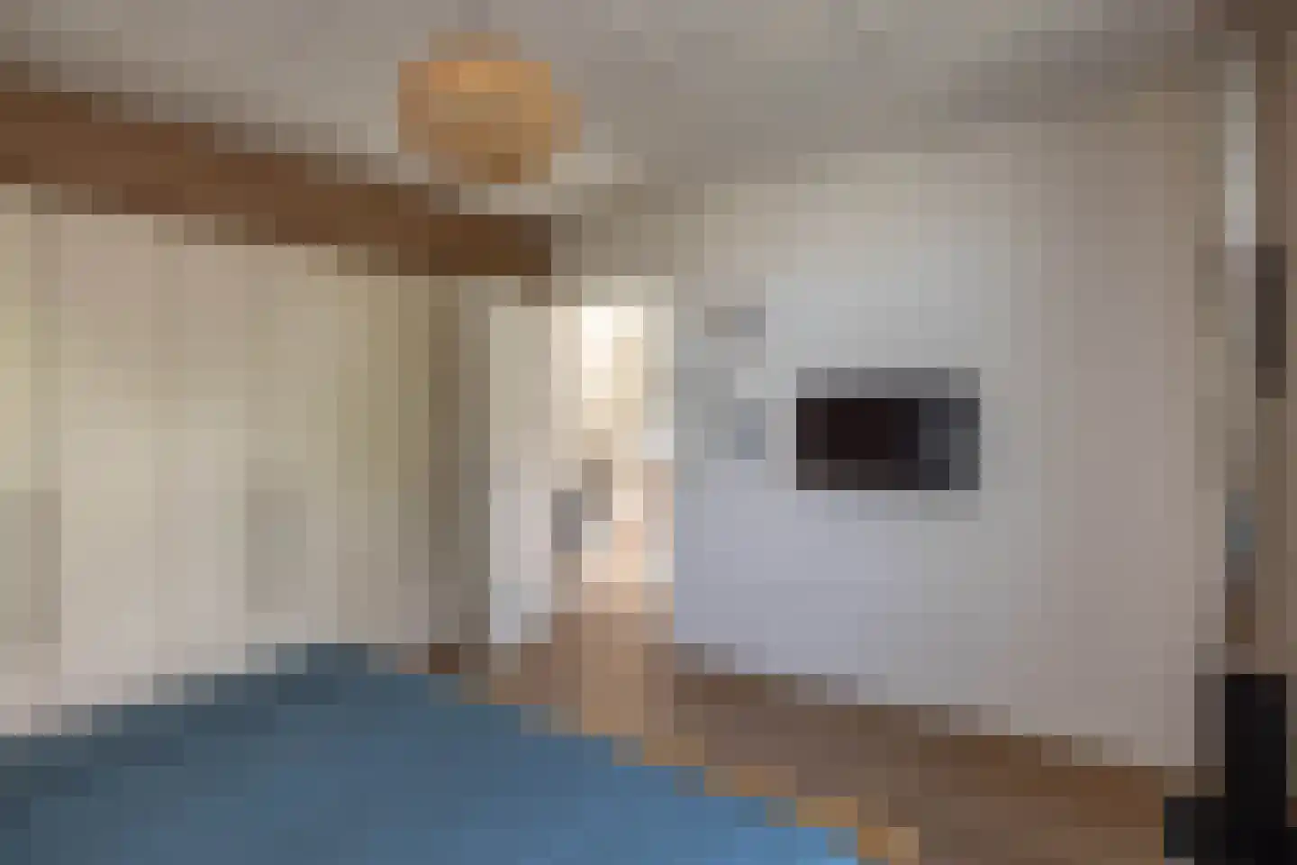 Anninksweg 18 Hengelo thumbnail 22