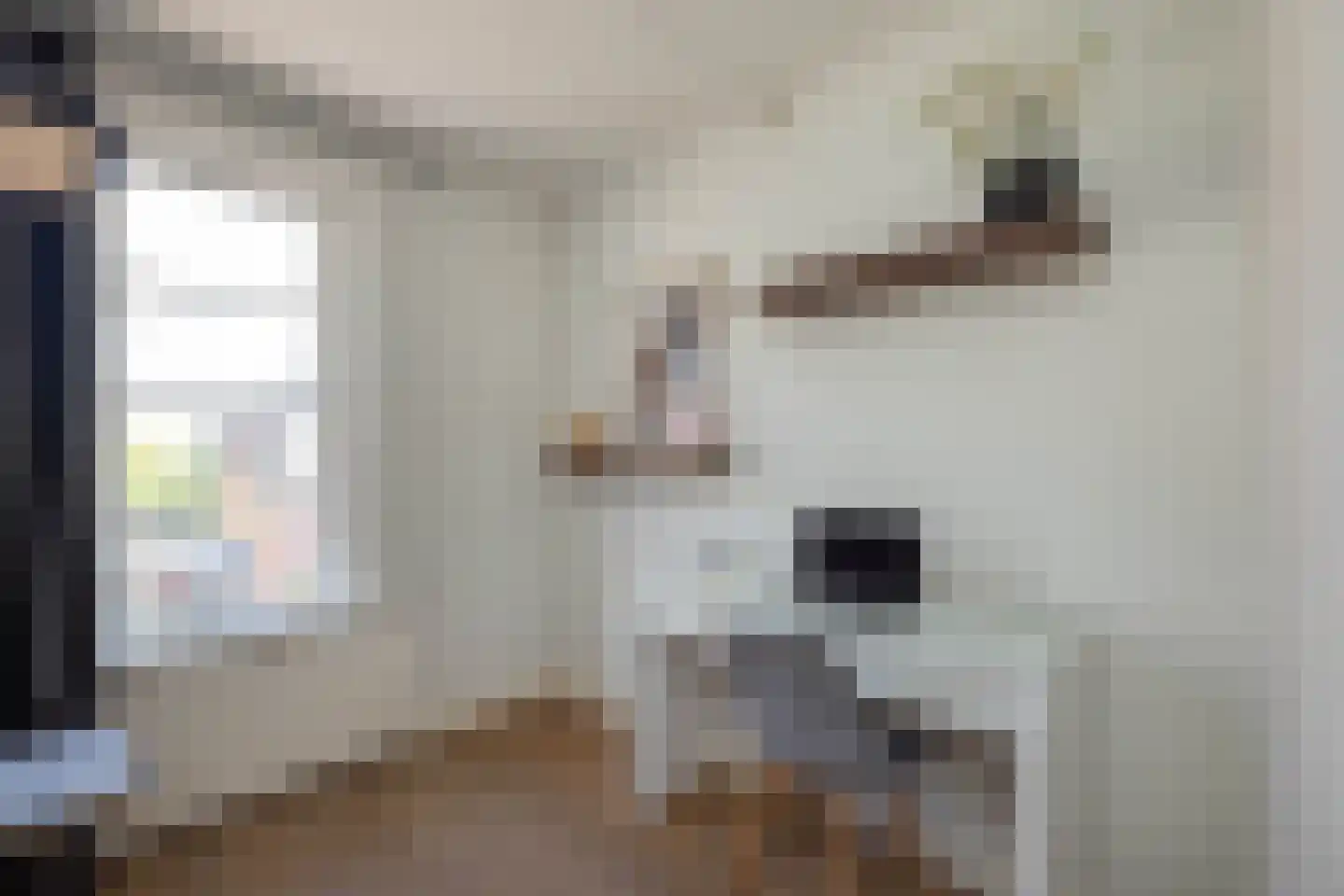 Anninksweg 18 Hengelo thumbnail 24