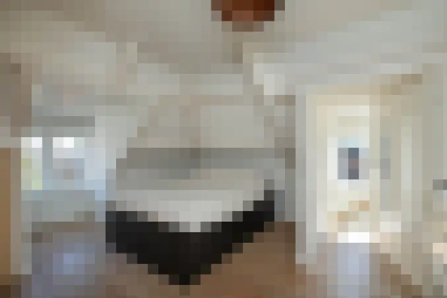 Anninksweg 18 Hengelo thumbnail 29