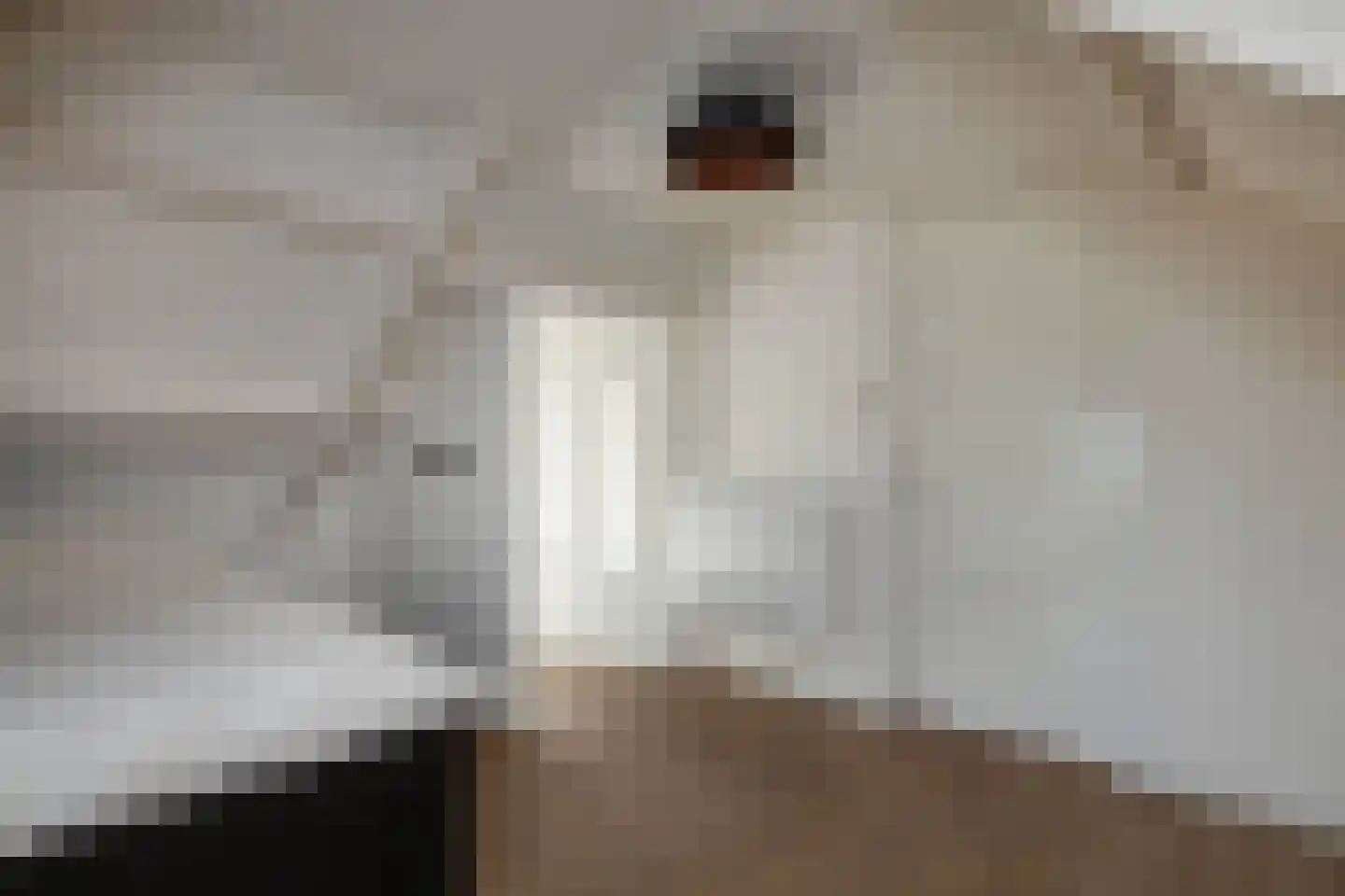 Anninksweg 18 Hengelo thumbnail 31