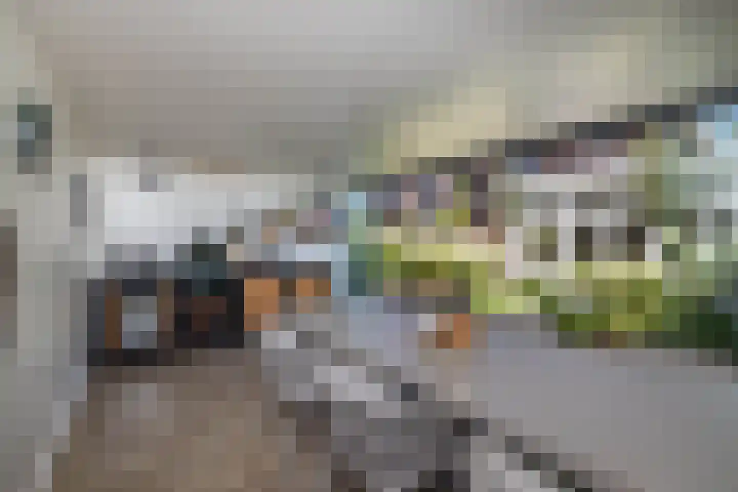 Anninksweg 18 Hengelo thumbnail 37