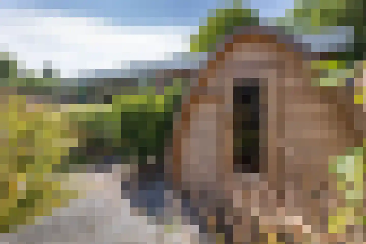 Anninksweg 18 Hengelo thumbnail 39