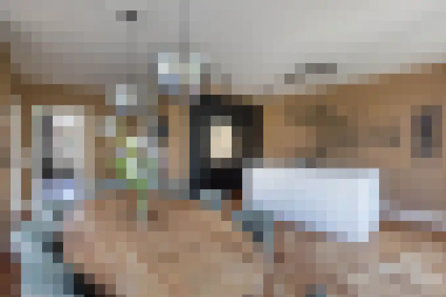 Anninksweg 18 Hengelo thumbnail 4