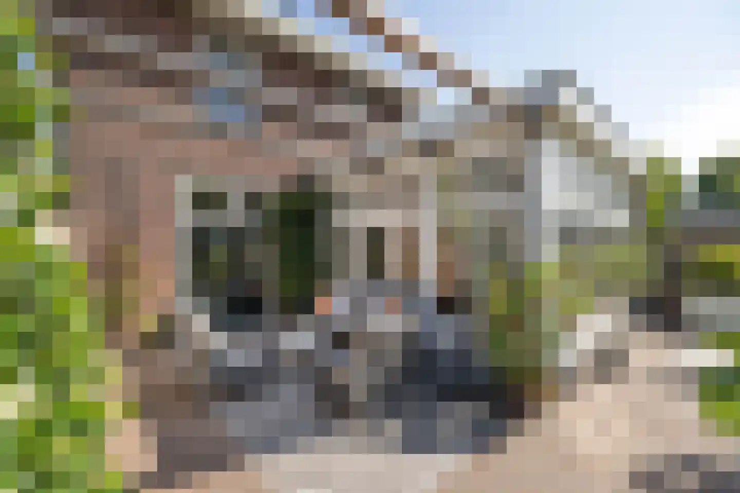 Anninksweg 18 Hengelo thumbnail 42