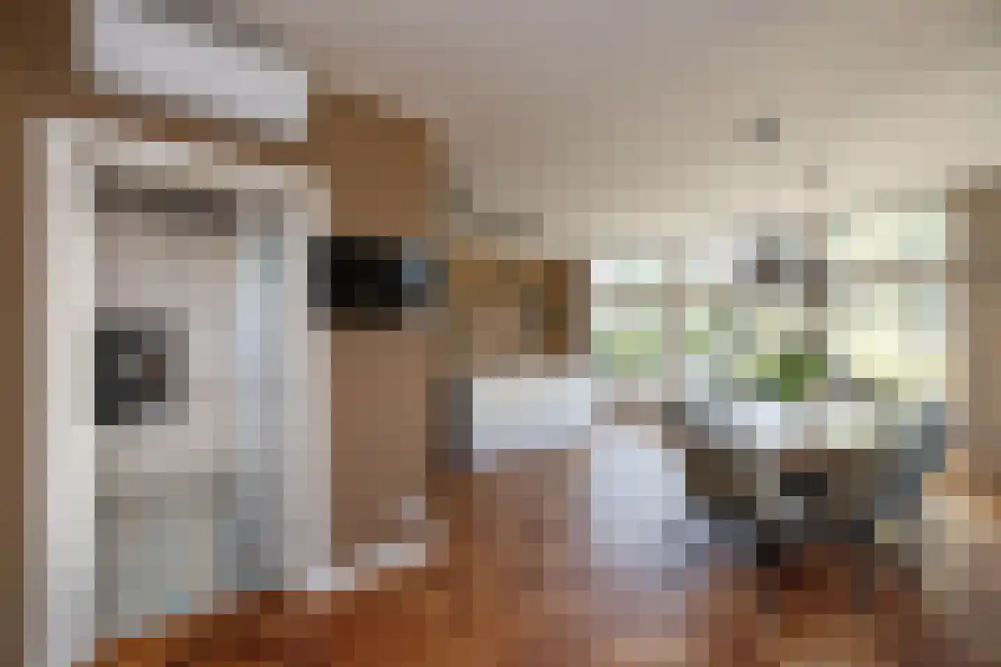 Anninksweg 18 Hengelo thumbnail 8