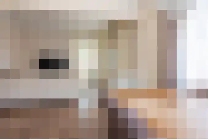 Anninksweg 34 Hengelo thumbnail 15