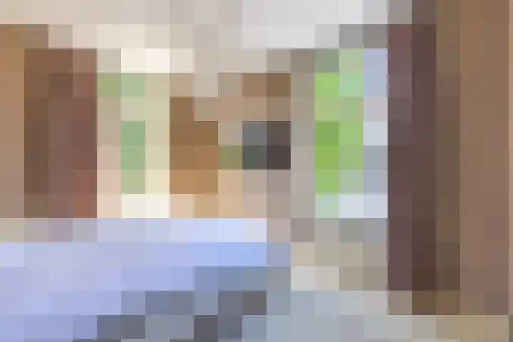 Anninksweg 34 Hengelo thumbnail 27