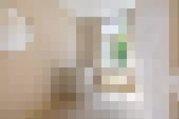 Anninksweg 34 Hengelo thumbnail 28