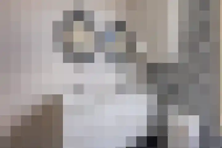 Anninksweg 34 Hengelo thumbnail 31