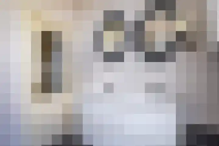 Anninksweg 34 Hengelo thumbnail 32