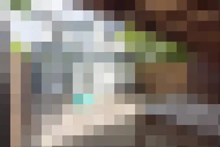 Anninksweg 34 Hengelo thumbnail 40