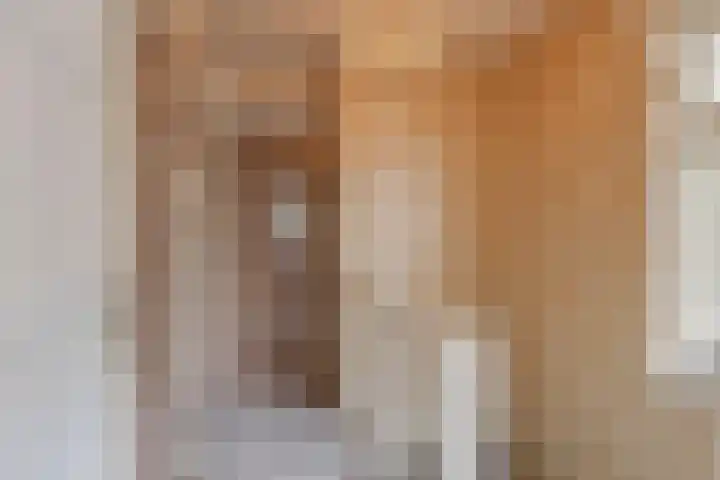 Anninksweg 64 Hengelo thumbnail 17