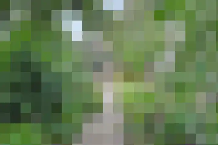 Anninksweg 64 Hengelo thumbnail 30