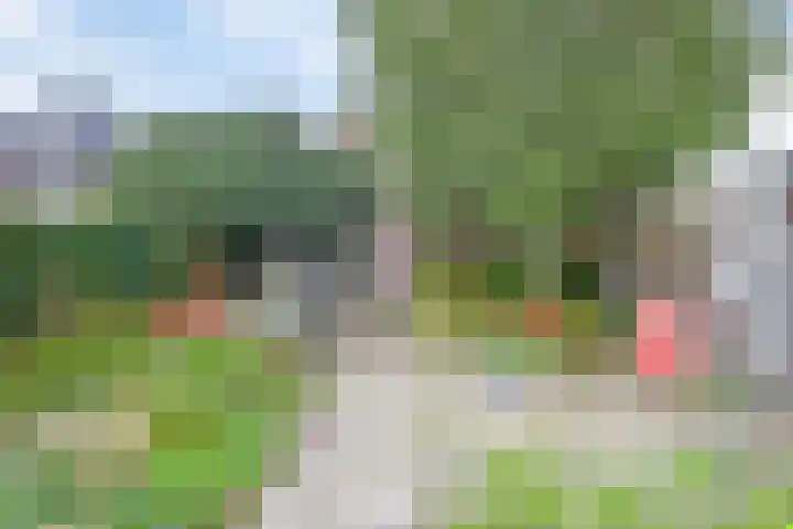 Anninksweg 64 Hengelo thumbnail 31