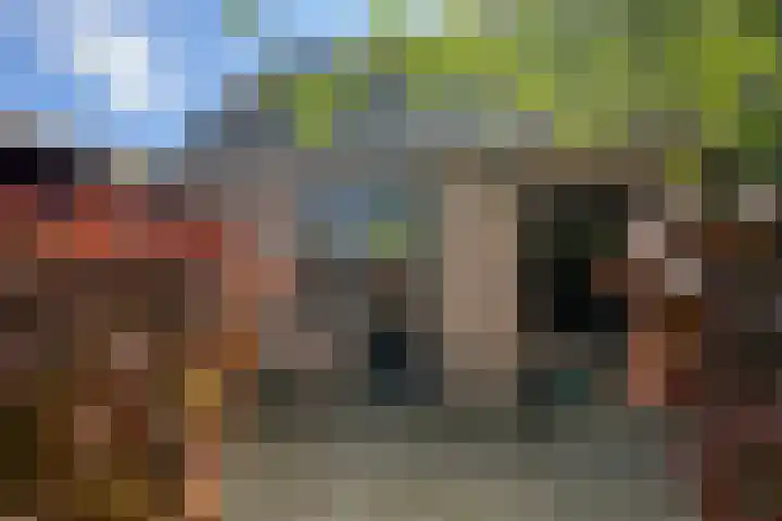 Anninksweg 64 Hengelo thumbnail 32